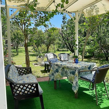 Tom E Jerry Bed and Breakfast Domus De Maria Exterior foto