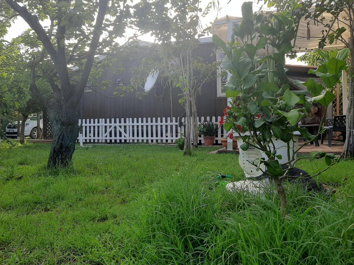 Tom E Jerry Bed and Breakfast Domus De Maria Exterior foto