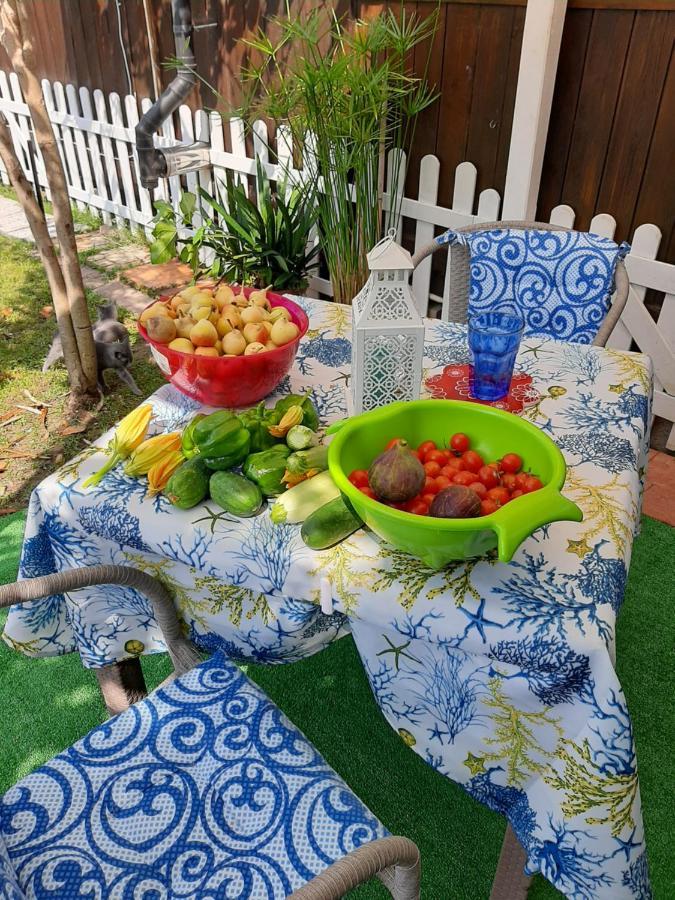 Tom E Jerry Bed and Breakfast Domus De Maria Exterior foto