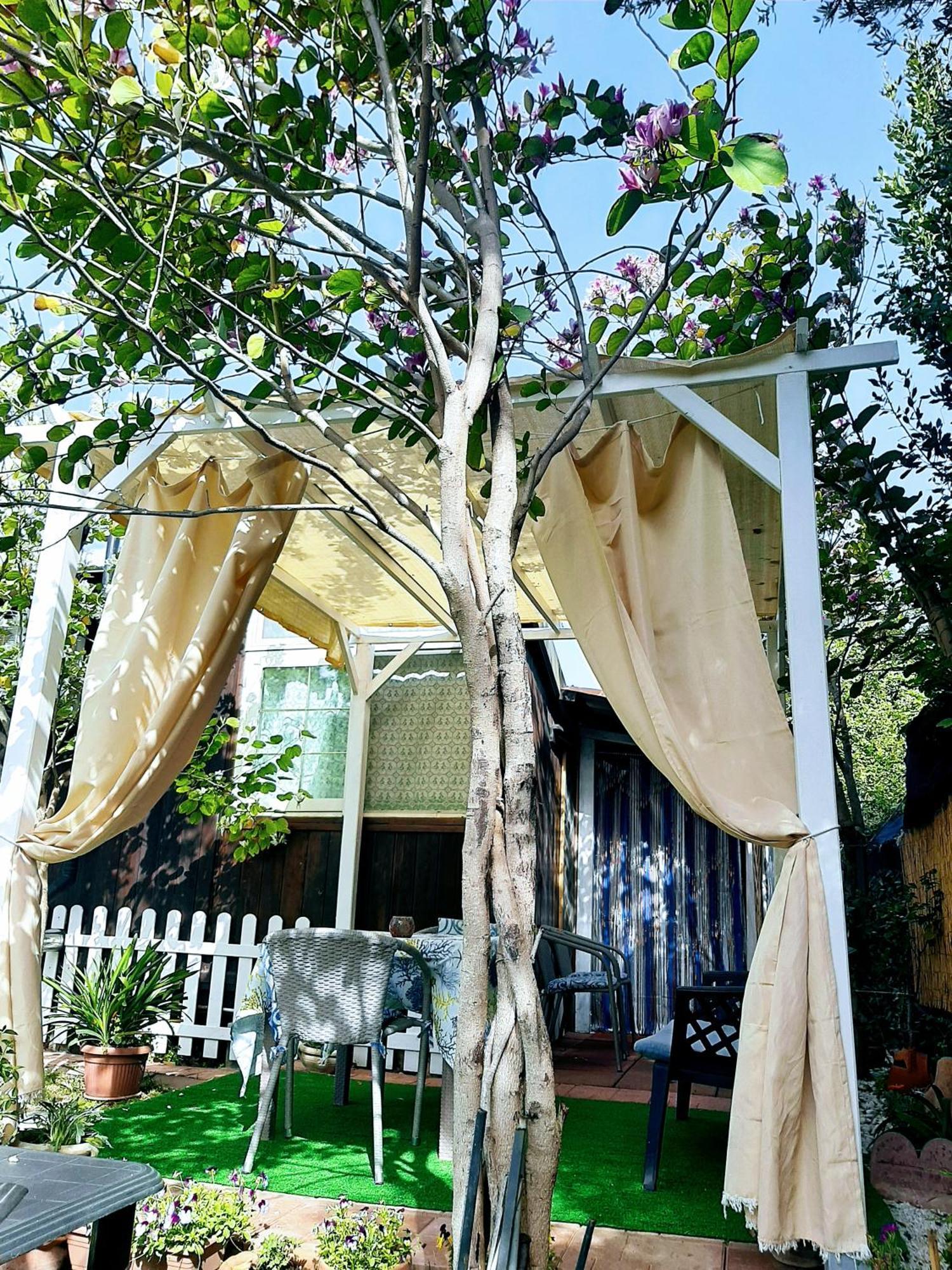 Tom E Jerry Bed and Breakfast Domus De Maria Exterior foto